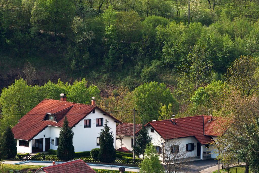 Apartment Petra I Nikola Seliste Dreznicko Exterior photo