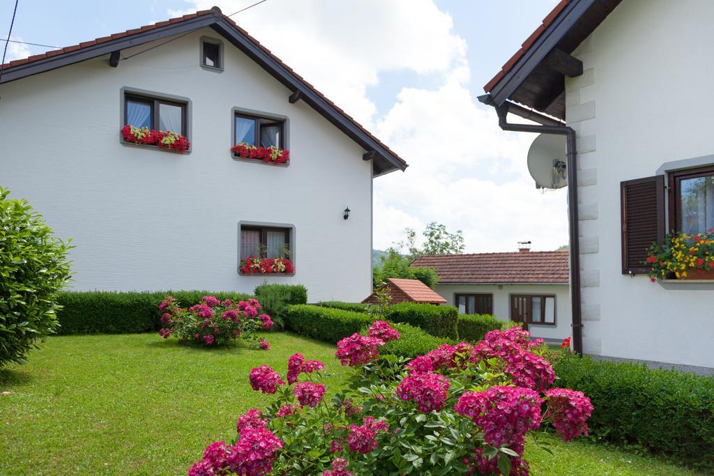 Apartment Petra I Nikola Seliste Dreznicko Exterior photo